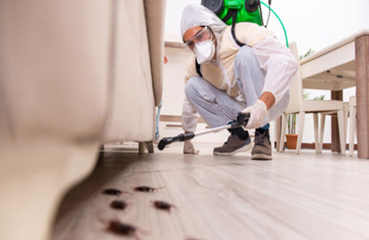 PEST CONTROL SOLUTIONS FOR YOUR HOME AND GARDEN